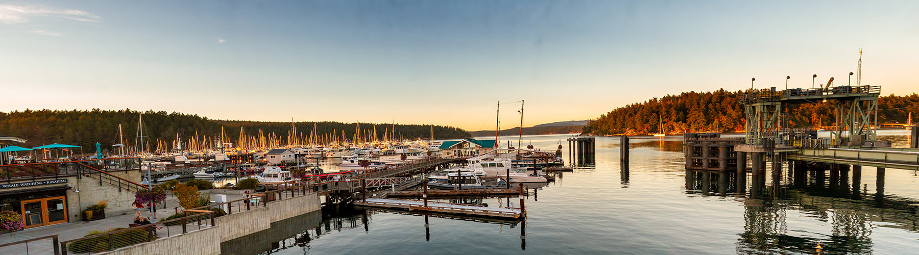 washington state tourism office